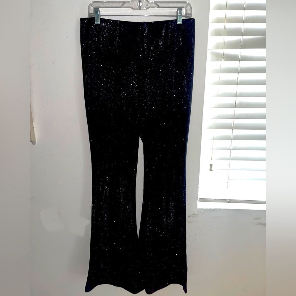 Zara Black Shimmer Pants NEW W TAGS